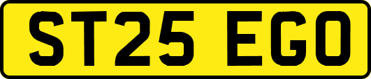 ST25EGO