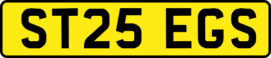 ST25EGS