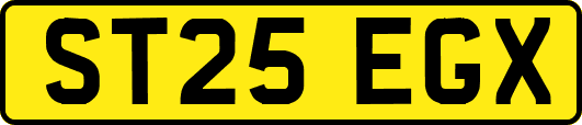 ST25EGX
