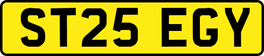 ST25EGY