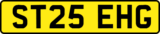 ST25EHG