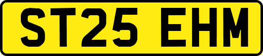 ST25EHM