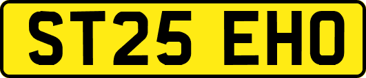 ST25EHO
