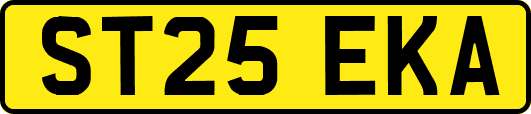 ST25EKA