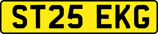 ST25EKG