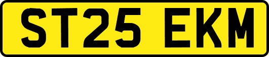 ST25EKM