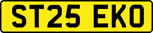 ST25EKO