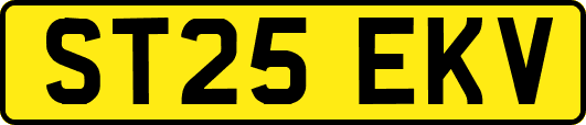 ST25EKV