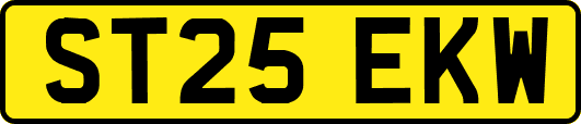 ST25EKW