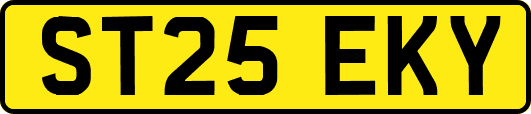 ST25EKY