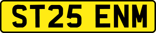 ST25ENM
