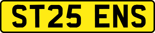 ST25ENS