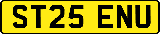 ST25ENU