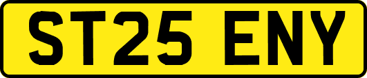 ST25ENY