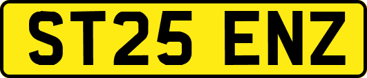 ST25ENZ