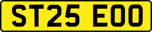 ST25EOO