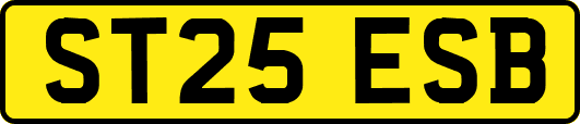 ST25ESB