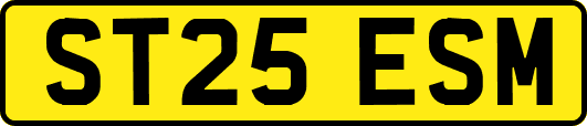 ST25ESM