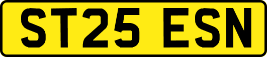 ST25ESN