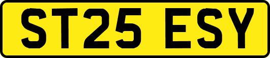 ST25ESY
