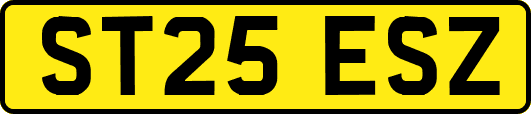 ST25ESZ