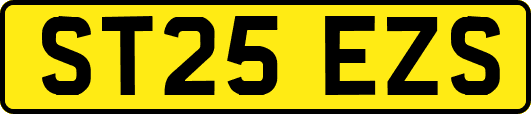 ST25EZS