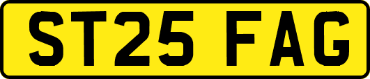 ST25FAG