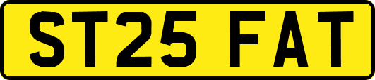 ST25FAT