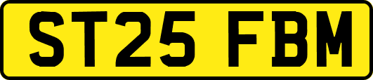 ST25FBM