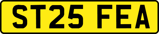 ST25FEA