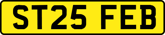 ST25FEB