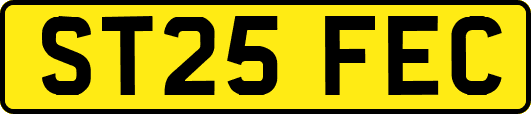 ST25FEC