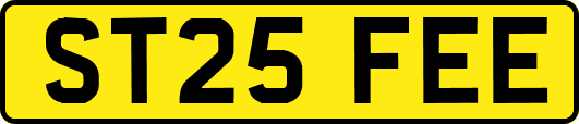 ST25FEE