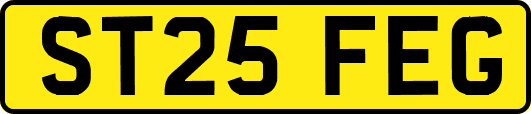 ST25FEG