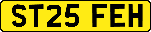 ST25FEH