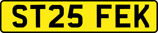 ST25FEK