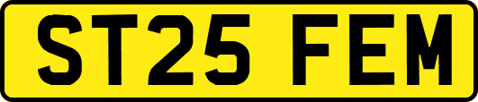 ST25FEM