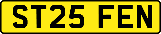 ST25FEN