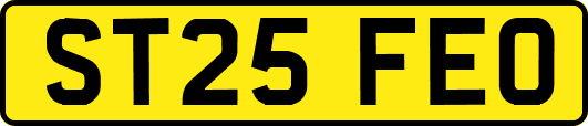 ST25FEO