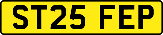 ST25FEP