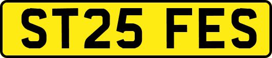 ST25FES