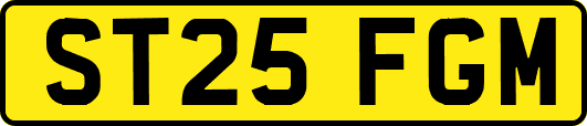 ST25FGM