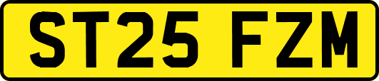 ST25FZM