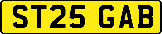ST25GAB