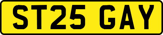 ST25GAY