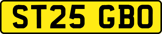 ST25GBO