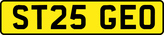 ST25GEO