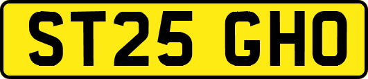 ST25GHO