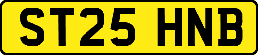 ST25HNB