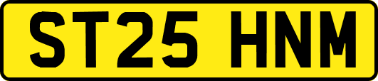 ST25HNM